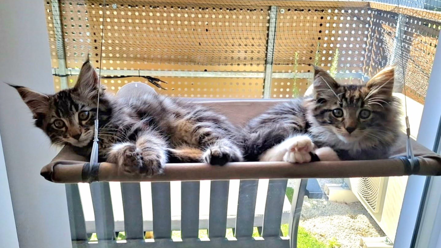 Valenki and Galoshki